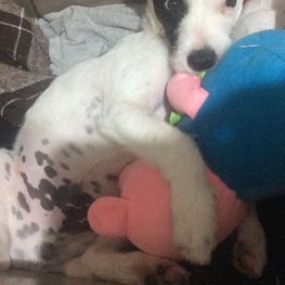 D 78666f09 568e 4116 83a9 fc130928f416