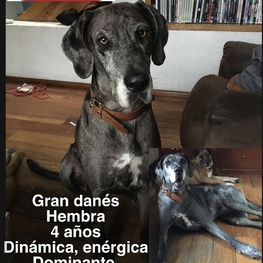 D cd2ec2a0 fdc1 466d bcd0 91b4e01f771b