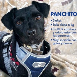 D 83462b8f d257 449e abd0 d484ce3c4cf0