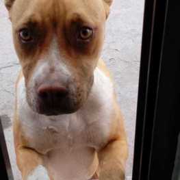 D 9fe3a3f9 fb7a 4625 81b9 216a1bd16dd5