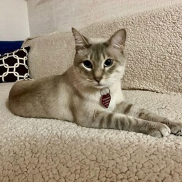 D be4d9700 2ab3 48ac b077 49e3ea2695ae