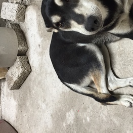 D 74f7b0d0 b53a 48c8 bfb9 c2f5088aab45