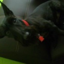 D d6d29706 79d3 4ac8 b148 56fdb0a935c8