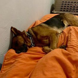 D 2e9f0953 b68b 40e6 8ea4 1d377738c7a8