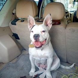 D 4b4e9a8a 3560 4707 80dd 17893bd840f6