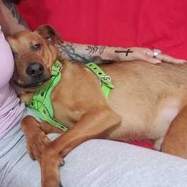 D d086e472 e3d5 4fb3 8fb2 abf6b1d88ad7