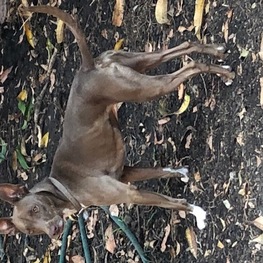 D 8be10b72 4e8c 4652 9f3f 6720f3eda7a7