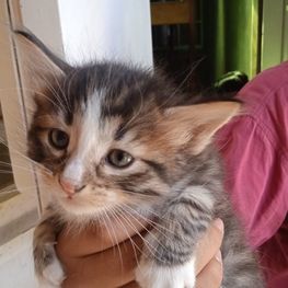 D b5e19c41 a8fd 4d69 b575 dbec93e2585e