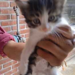 D a8d410da 4b31 484e 873e 4e7032fdf810