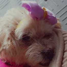 D a60b30f5 11b8 438b 9cc5 dda89e8e1aee