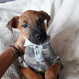 D 930f6abb d2b5 4aed 9b9c 6fb0173750ee