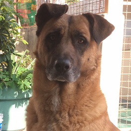 D 986f62c0 b675 4398 a82b d645fef4d37d