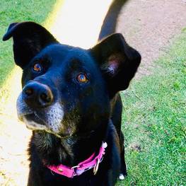 D 9384d3f6 1093 4f54 a1d8 081b679e0735