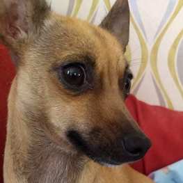 D 1a573f4c c119 4f2f 9559 fab60e39fb4a