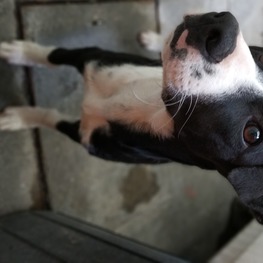 D 51cf0da4 d822 4c1f b9b6 c22c348bc83a