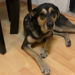 D 933e92dd 665b 4d35 953b af3f77500abc