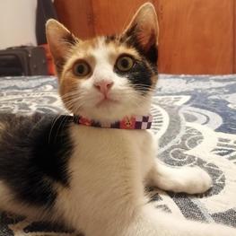 D dd93e2b6 c279 4c10 99fe aec16595662b