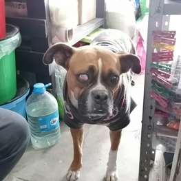 D abc4c32c bb9e 4740 99ba de48b74eca91