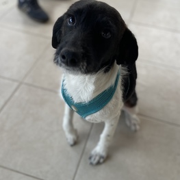 D 0fc1fdfb 6341 48f5 a575 b474028866f4