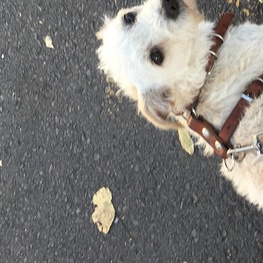 D 543ddba2 cbae 4696 b80b 6461749bdcdb