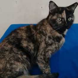 D d39c9b29 3605 4d2f a702 7a15fa34102a