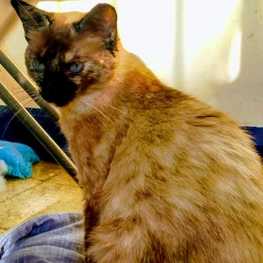 D ae0fdf1b c761 4ca1 95c1 855ecff9063e