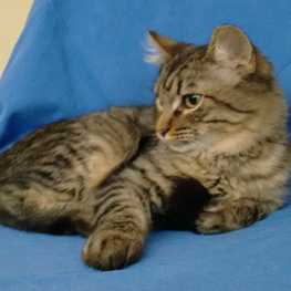 D d5218da7 415f 47ed a134 6dc79cd3bf0e