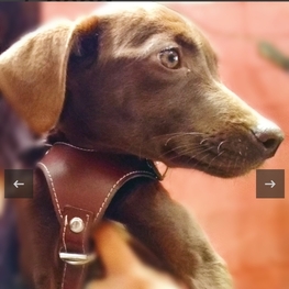 D 88a8d90d 58b2 4239 9ab1 009abfa443d0