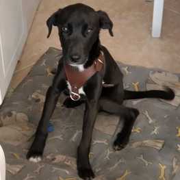 D 6174f498 cbe5 4b4b a908 6e60f26899a3