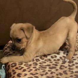 D 2cc30af0 0d7f 4b5e 8e41 a054914dbb80