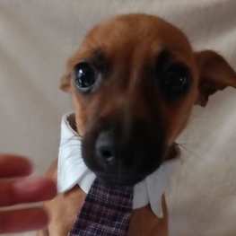 D c65ea12e 3c4c 454e a1b1 27ddde7ac436