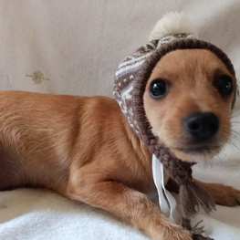 D 1932e163 25b2 41f2 b585 3b4e1c7275ec