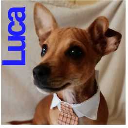 D afd93588 4dca 43e6 bab9 1ad94dd04d9f