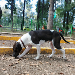 D 786bf8f7 a6fe 4231 b371 c0c311fd26ed