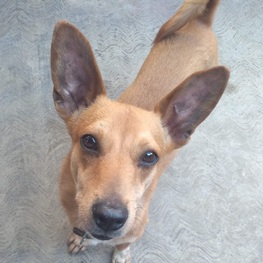 D aa400cb8 b694 4c3b bd6a 35af4f72f359