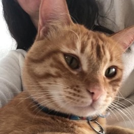 D 1b604503 d7cb 4c1e 8999 6fdeb1ccded0