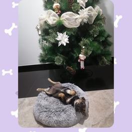 D e47c4d9e ae2e 4705 a3eb 00003be36353