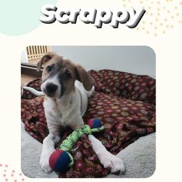 D 0b301b45 ed9f 4e6e 83f3 87a7abed489c