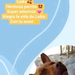 D 1a549194 e916 4377 81b2 78d81097c4dc