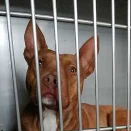 D 8bd7d8dd 399f 4a73 9592 6346a851ccd4