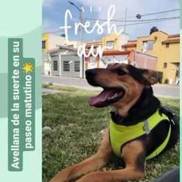 D abeb9a8c 72a8 4ae5 8741 f74c3e22fc03