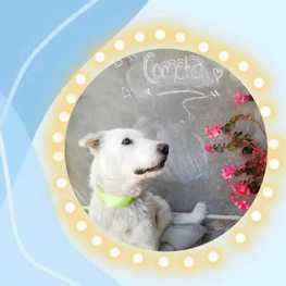 D 5c8eb070 830b 4c91 a8a1 653b1d782a93