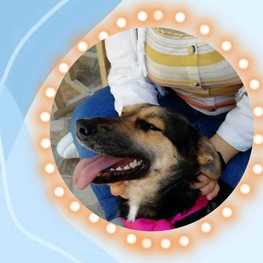 D f2fb3633 4dae 4c14 974e 9f59493bdc26