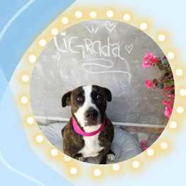 D 9b2b1419 de49 4015 bbe4 edbed85c697a