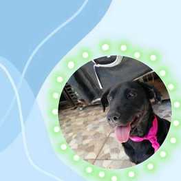 D 91b5ed8a 13d9 478b a0d9 0610ac3f1c55