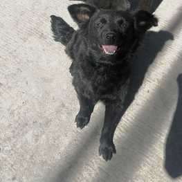 D af5237d7 c9bf 456b 95b4 f2d1b3db6e93