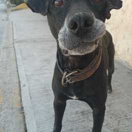 D 312c1905 76b2 4948 8166 fba1e2706bb7