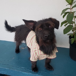 D 70eee4e6 f792 43ea acd2 0775522794f0