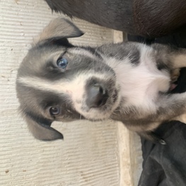 D 0bec2a67 6e82 49a4 92c4 ccaf7b5ba184