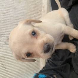 D ad8b1c46 e2ad 43e1 a10d a4f13ca261cd